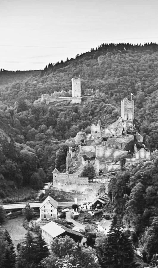 Herberg Die Alte Schleuse Manderscheid Ngoại thất bức ảnh