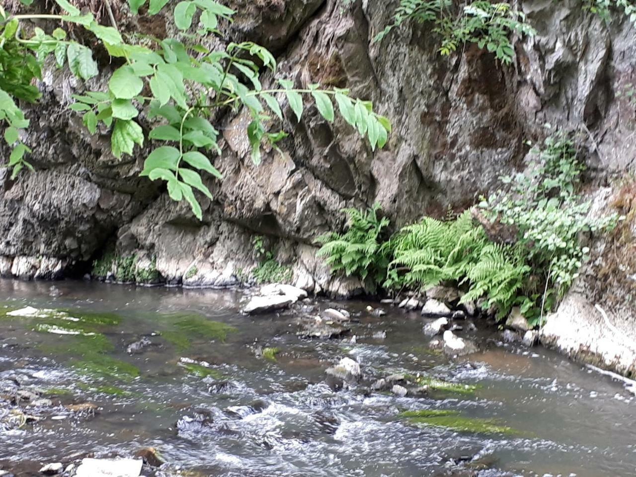 Herberg Die Alte Schleuse Manderscheid Ngoại thất bức ảnh